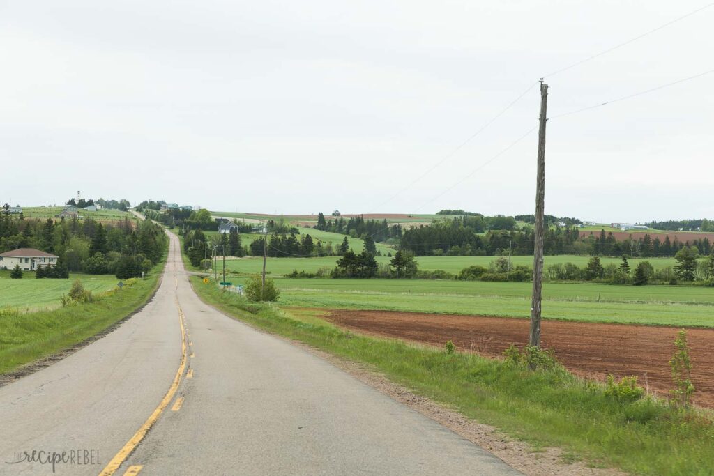 two lane highway in Prince Edward Island with rolling hills