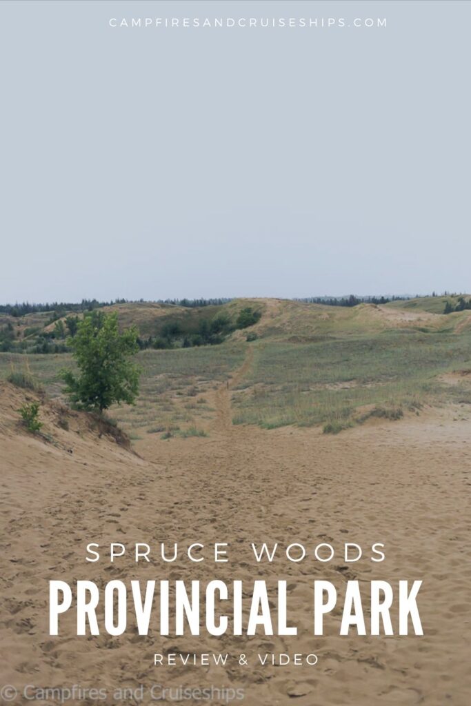 spruce woods provincial park sand dunes image with title