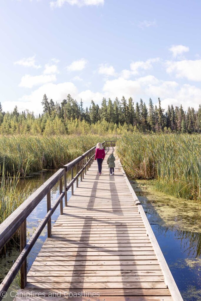 ominnick marsh trail in clear lake manitoba