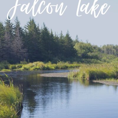 falcon lake image of pond with trees in the background and title