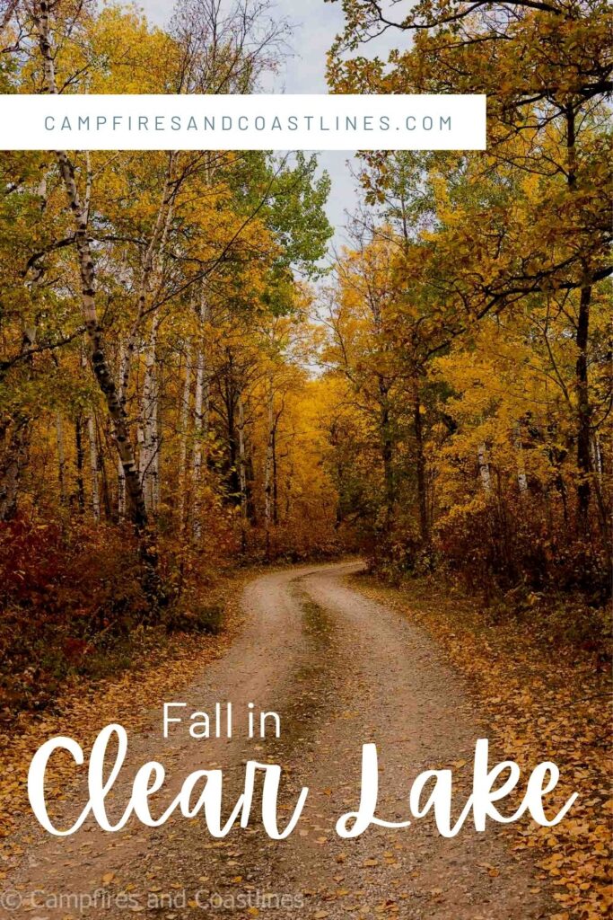 title image for clear lake in the fall with yellow leaves on trees