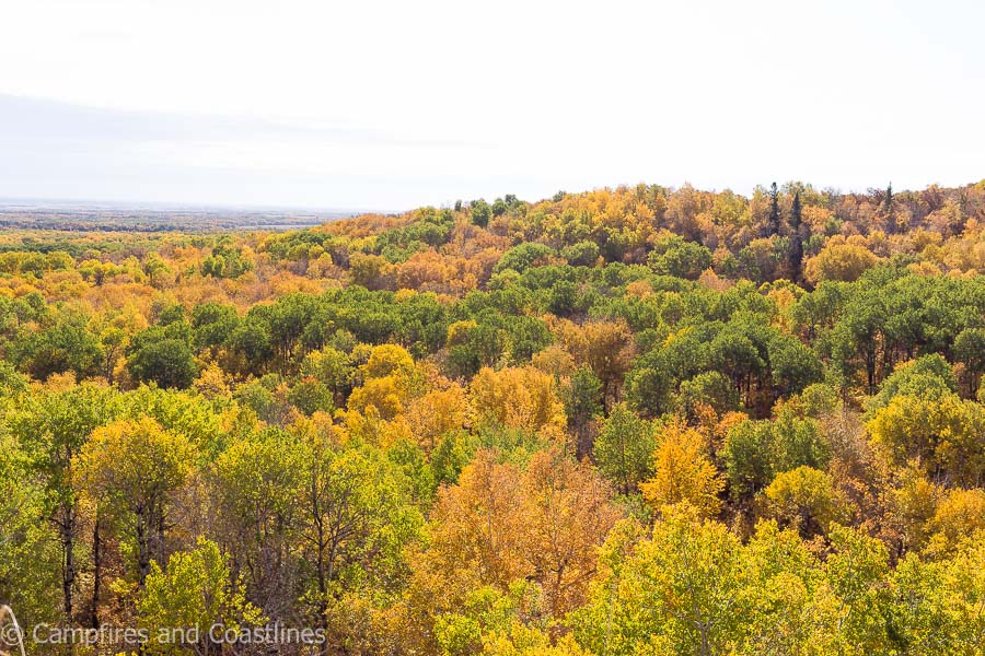 view from bald hill hike in riding mountain national park