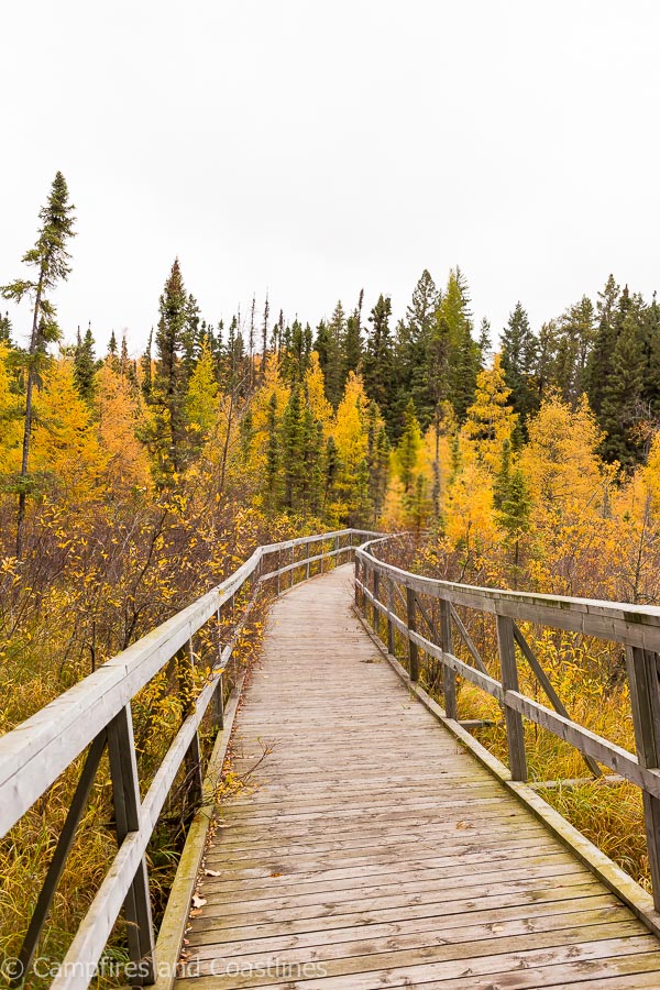 hike to kinosao lake in riding mountain national park