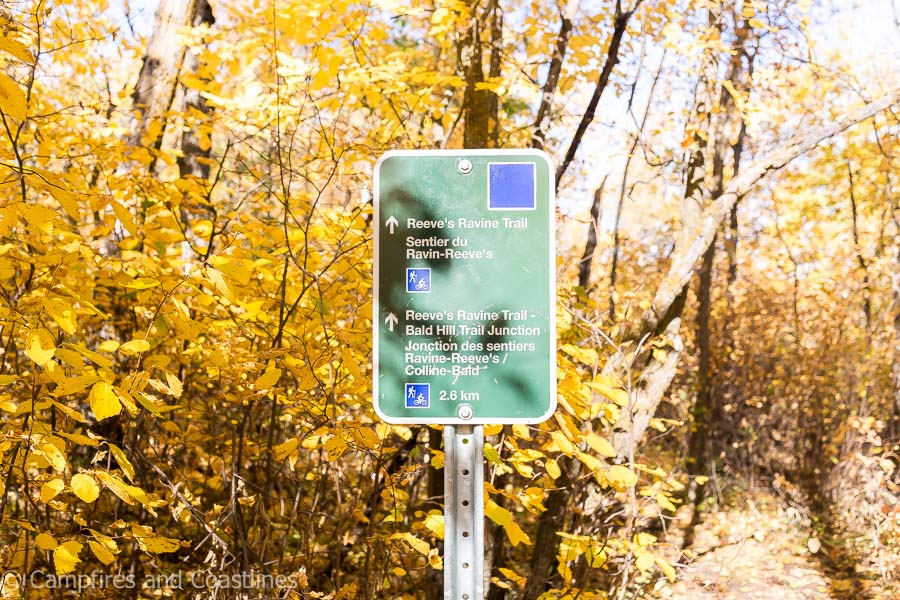 reeve's ravine trail sign in riding mountain national park