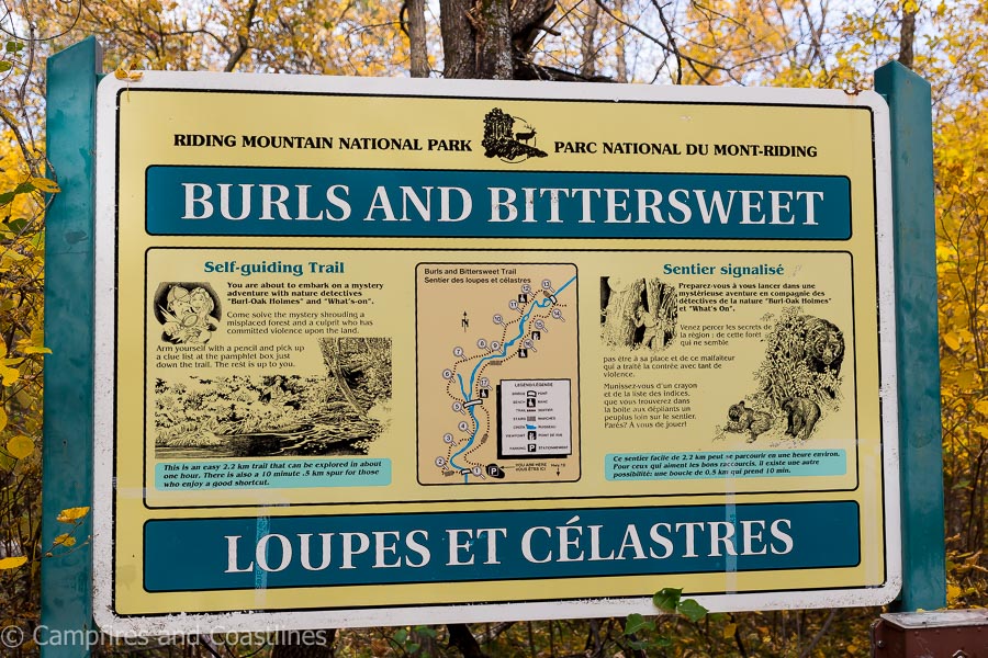 burls and bittersweet sign riding mountain national park