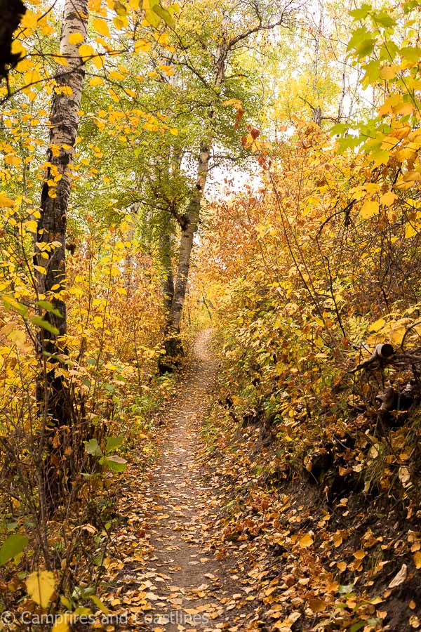 trail to bald hill riding mountain national park