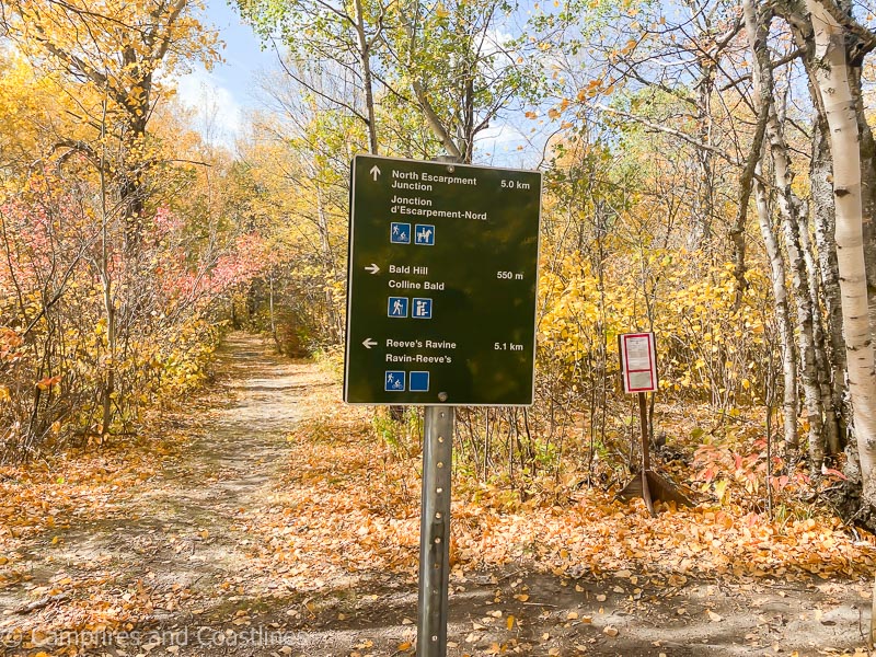 bald hill sign riding mountain national park